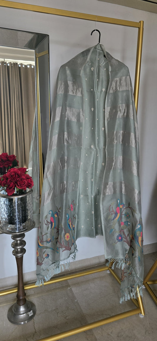 Silk Organza Embroided Suit